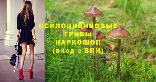 ALPHA-PVP Богородск