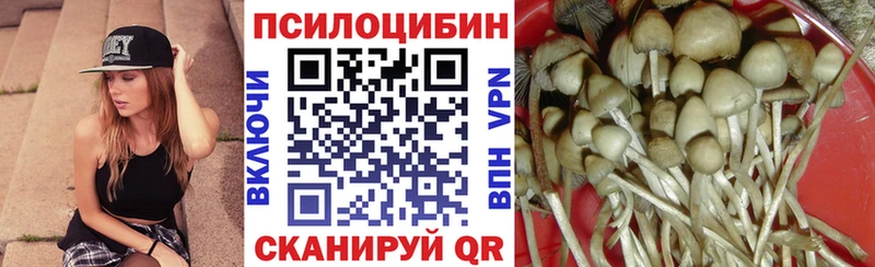 Галлюциногенные грибы мухоморы  Дальнегорск 