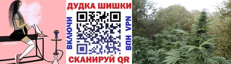 МАРИХУАНА OG Kush  хочу наркоту  Дальнегорск 